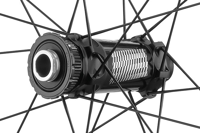 Red Zone CARBON +(PLUS)(F+R)MS12